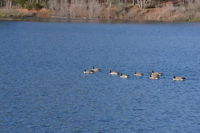 DSC_1153 (Large).JPG